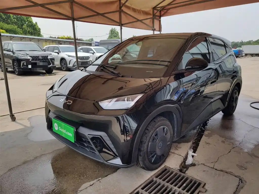 2024 BYD Seagull - zdjęcie 1 z 25
