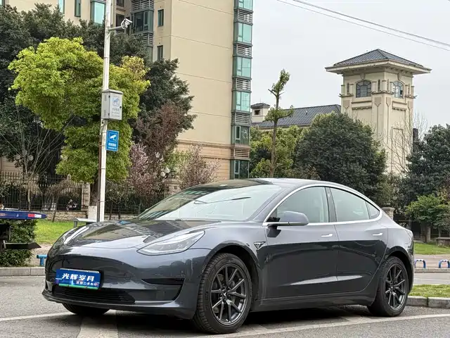 TESLA MODEL 3 2020