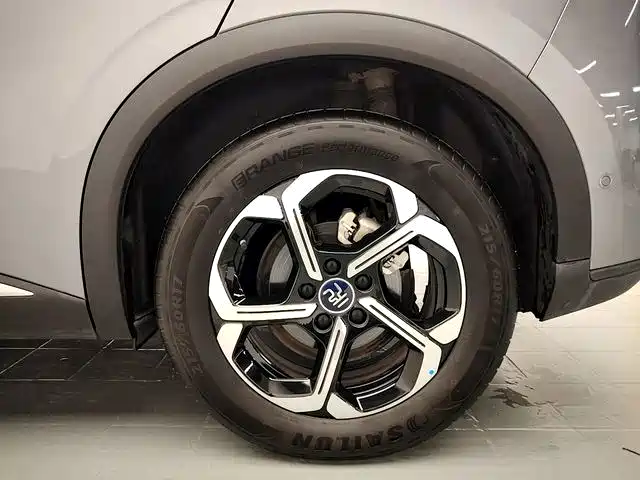 BYD Yuan Plus — миниатюра 15