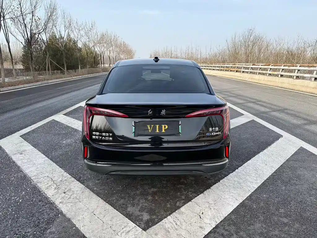 Hongqi HONGQI E QM5