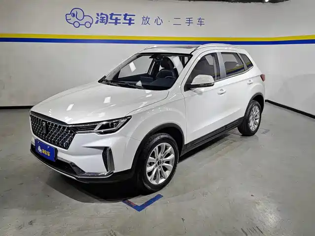 BESTUNE PENTIUM T33 2020