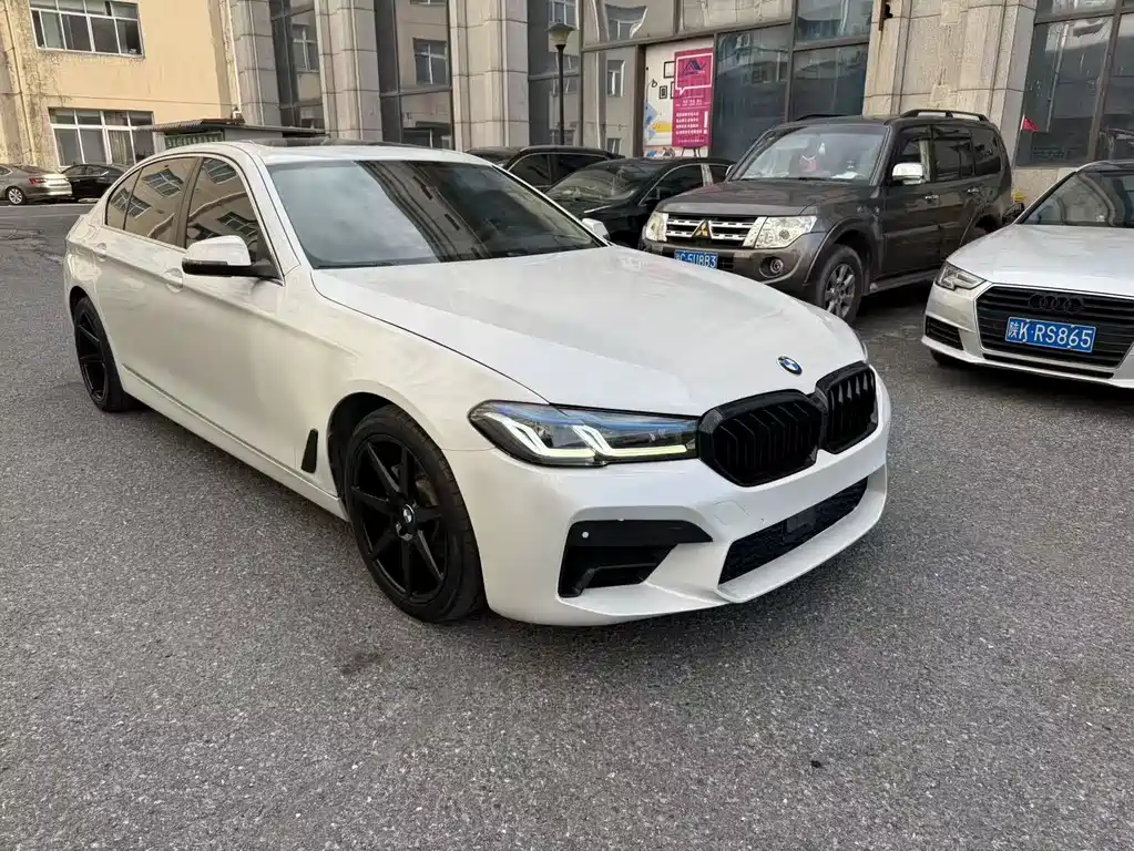 BMW 5 Series 5 2017 520Li Elegant
