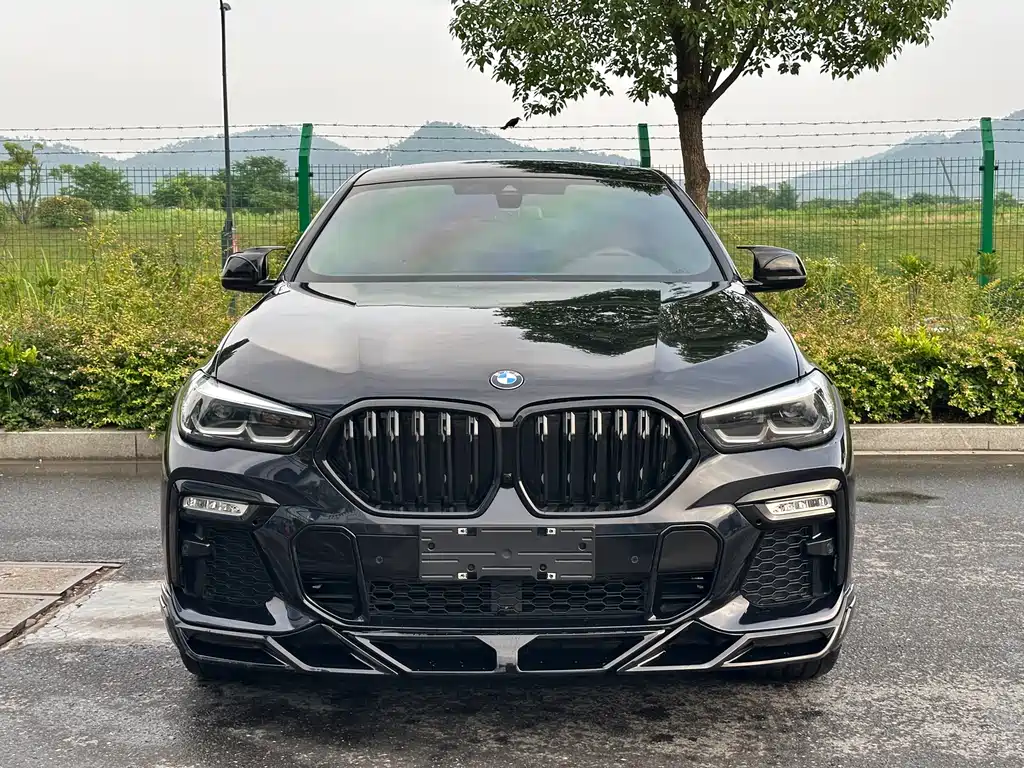 BMW X6 2020 xDrive30i M Sport
