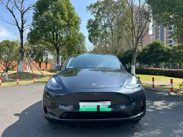 TESLA MODEL Y 2025