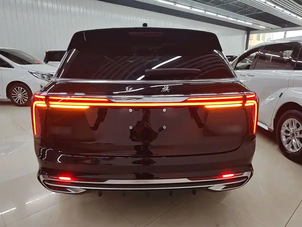 Hongqi Hongqi E-HS9 — миниатюра 6