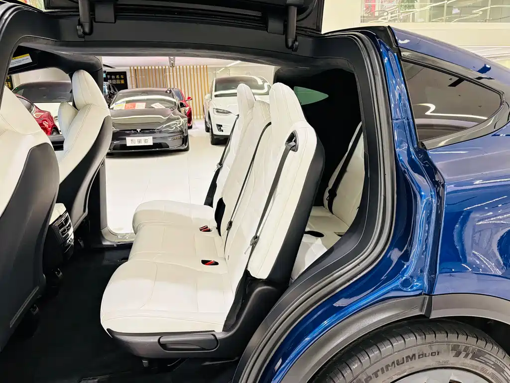 TESLA MODEL X