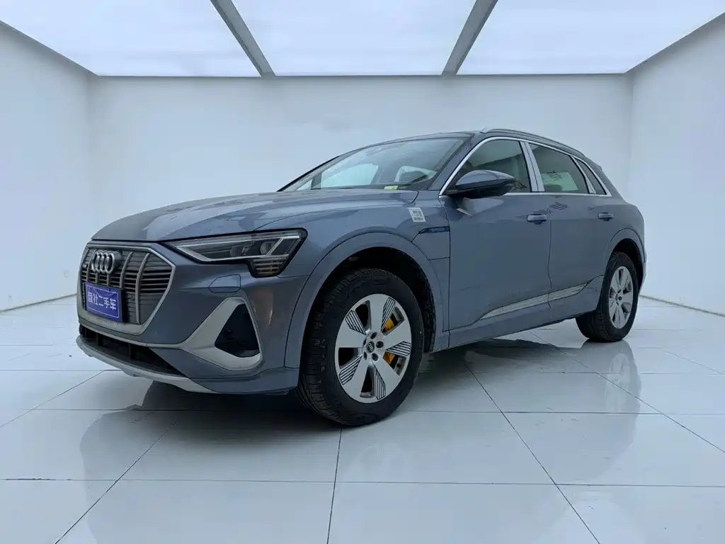 Audi e-tron — миниатюра 2