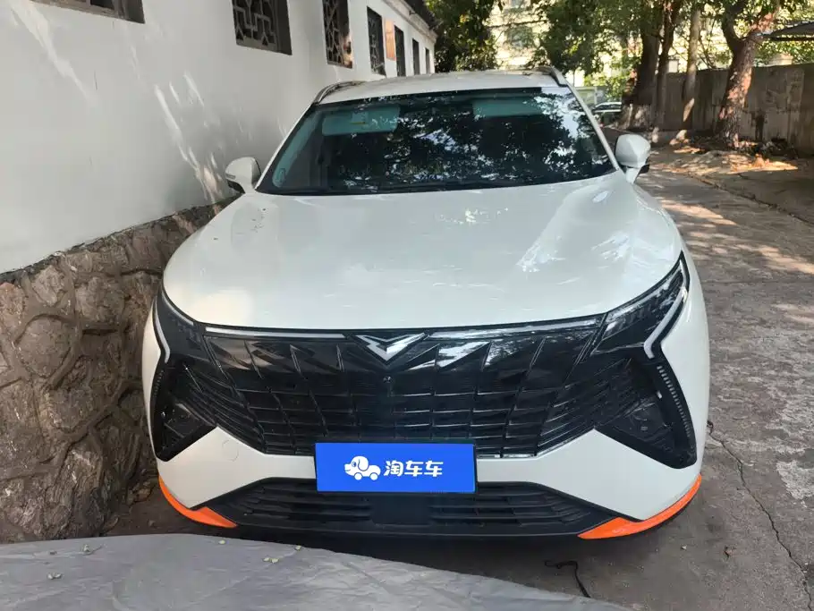 Cowin Kunlun — миниатюра 2