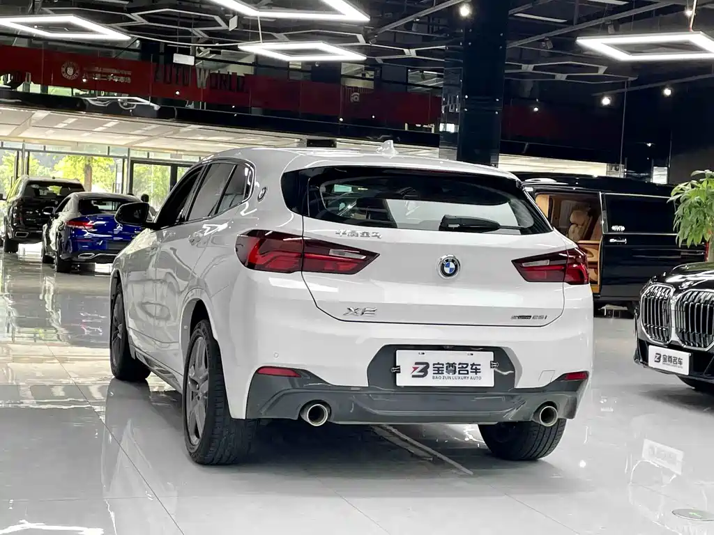 BMW X2 sDrive25i Leading Type M Sport Package, фото 10