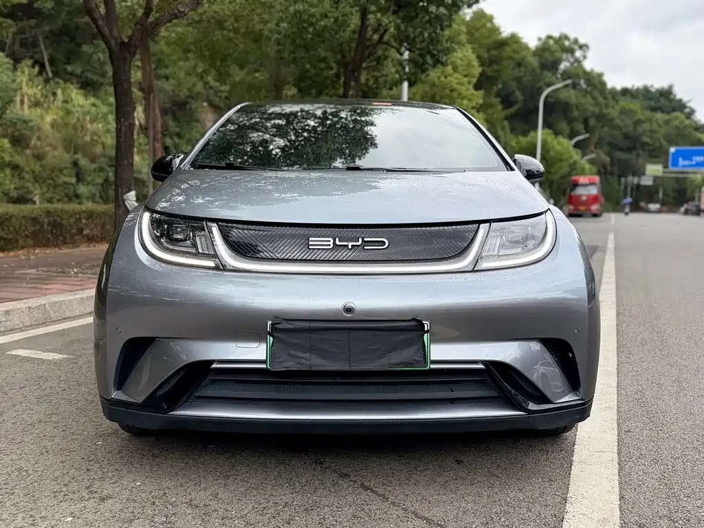 BYD Dolphin 2023 420km Fashion