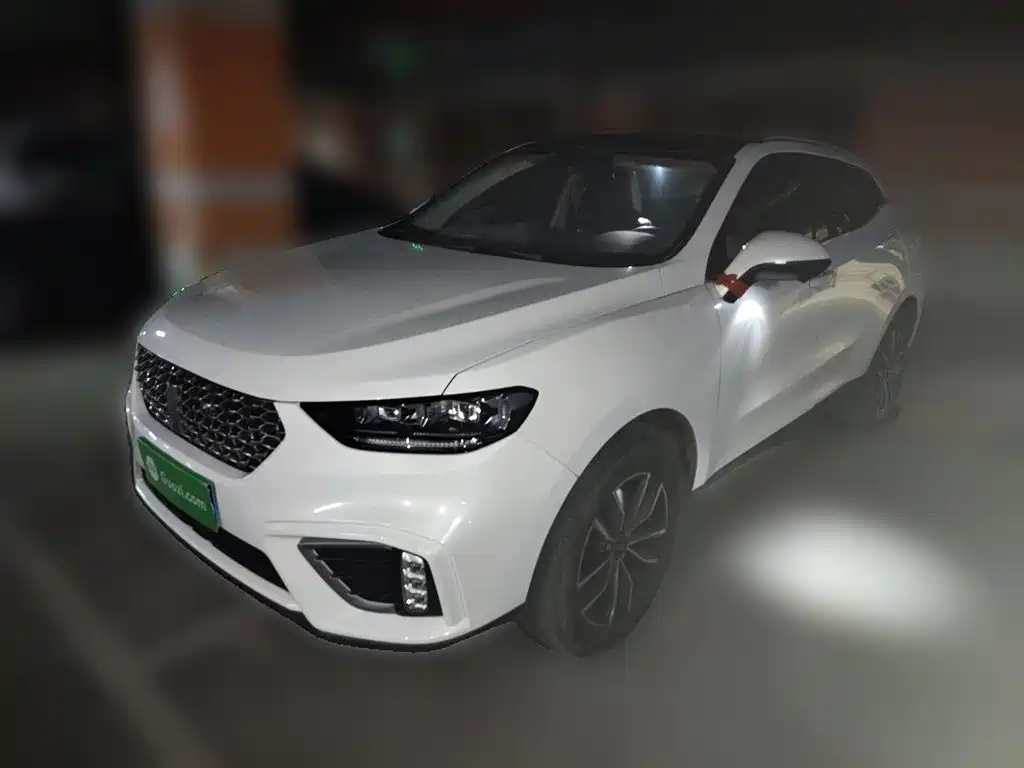 WEI PAI WEI BRAND VV5