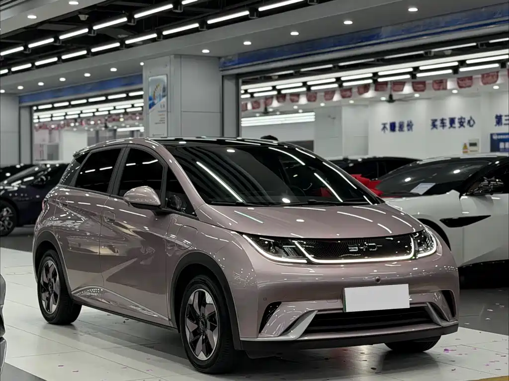 BYD Dolphin 2024 420km Fashion