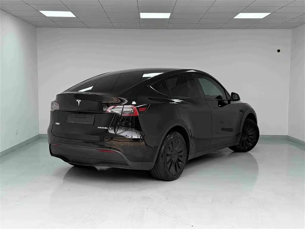 Tesla Model Y — миниатюра 19