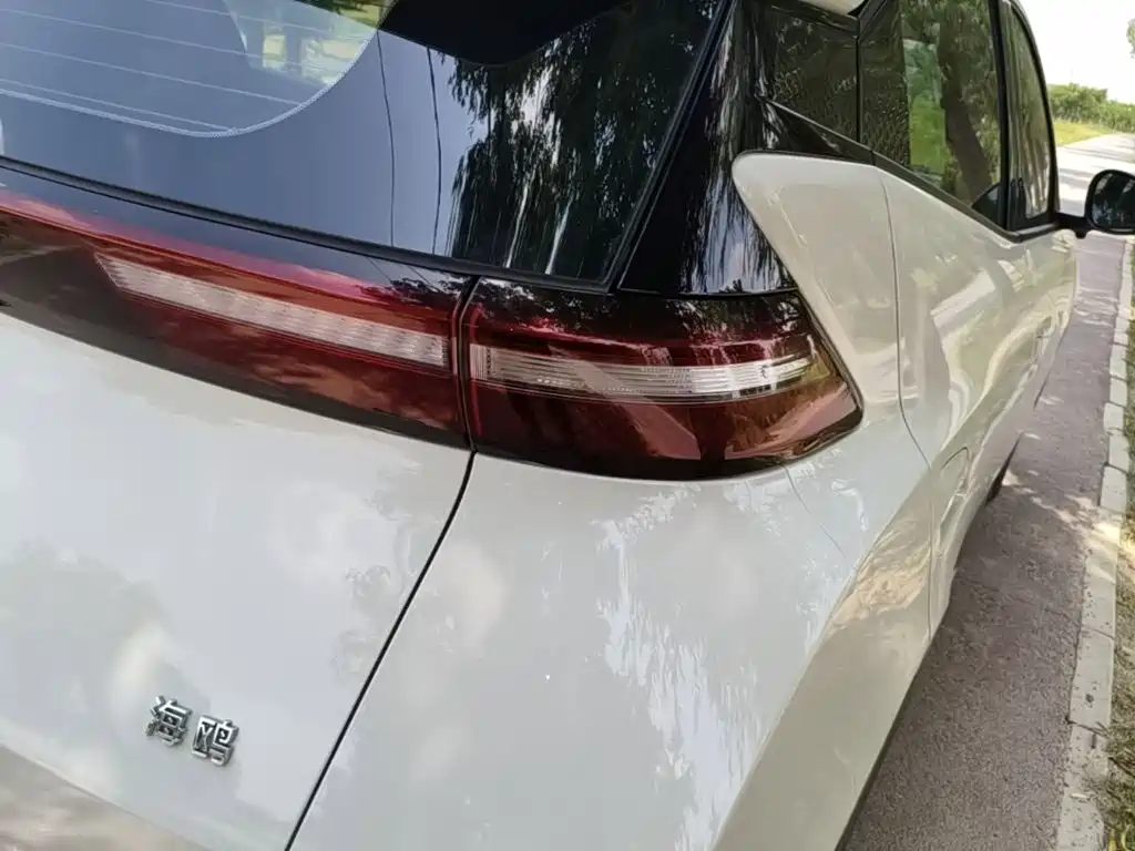 BYD Seagull 2024 305km