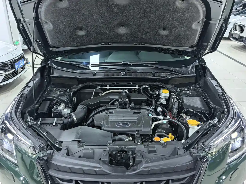 Subaru Forester — миниатюра 21