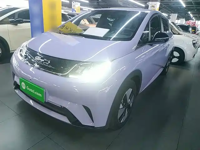 2024 BYD Dolphin