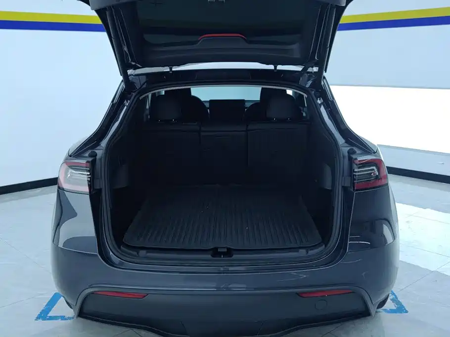 Tesla Model Y — миниатюра 4