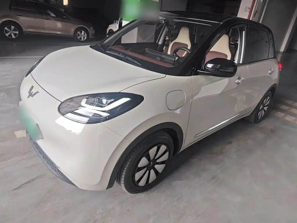 Wuling Bingo 2024