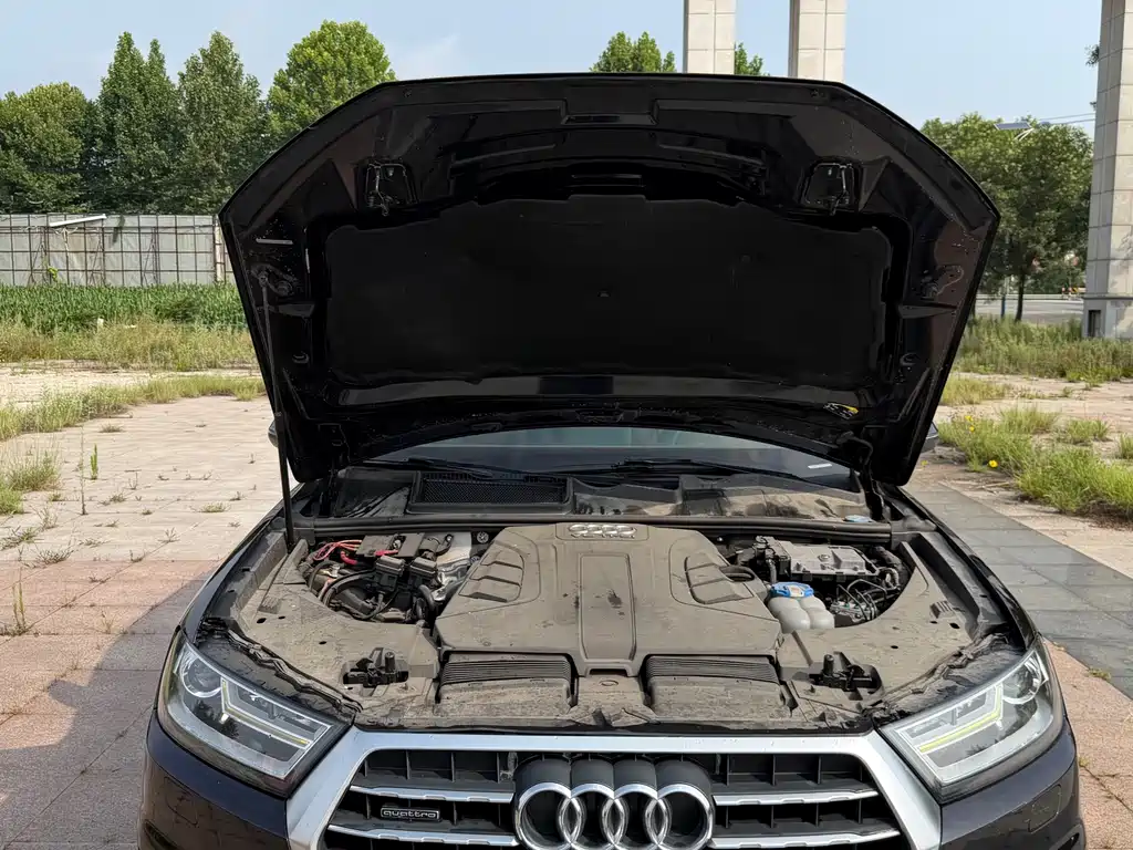 Audi Q7 — миниатюра 12