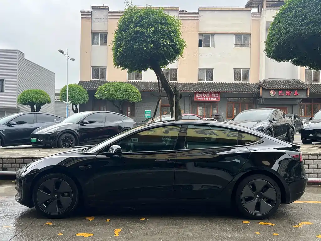 Tesla Model 3 2021 3D1