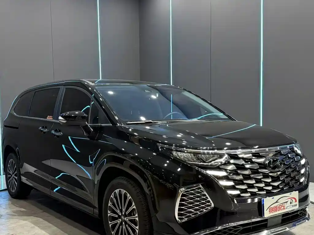 Hyundai Custo — миниатюра 3