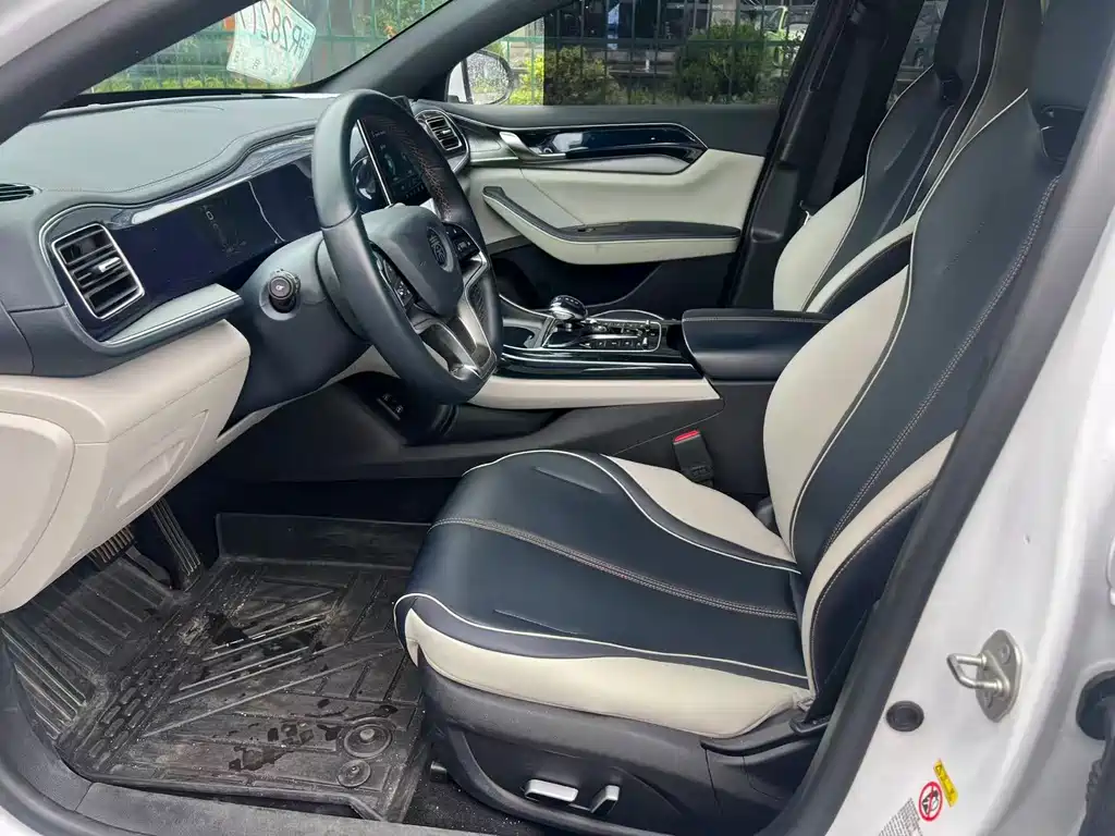 BYD Qin Plus PLUS 2024 DM-i 55KM Lead