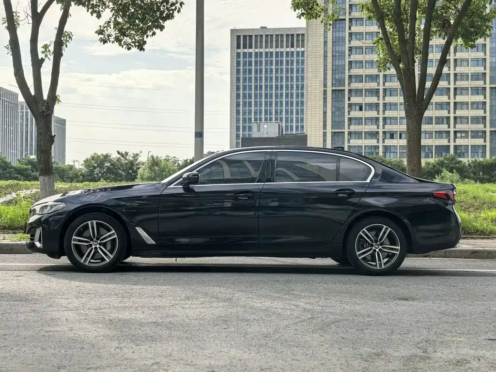 BMW 5 Series 5 2021 530Li Lead Luxury