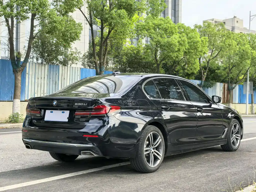 BMW 5 Series 5 2021 530Li Lead Luxury