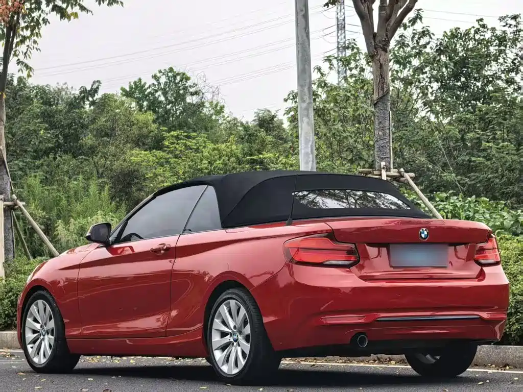 BMW 2 Series (Import) — миниатюра 10