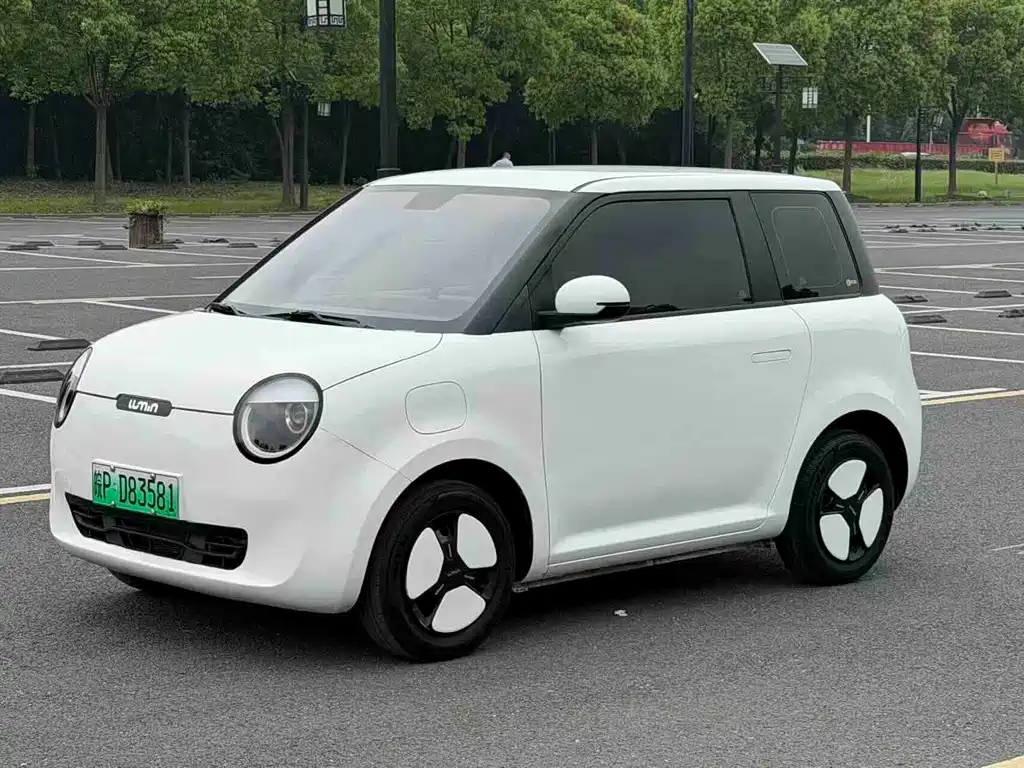 Qiyuan Lumin 2023