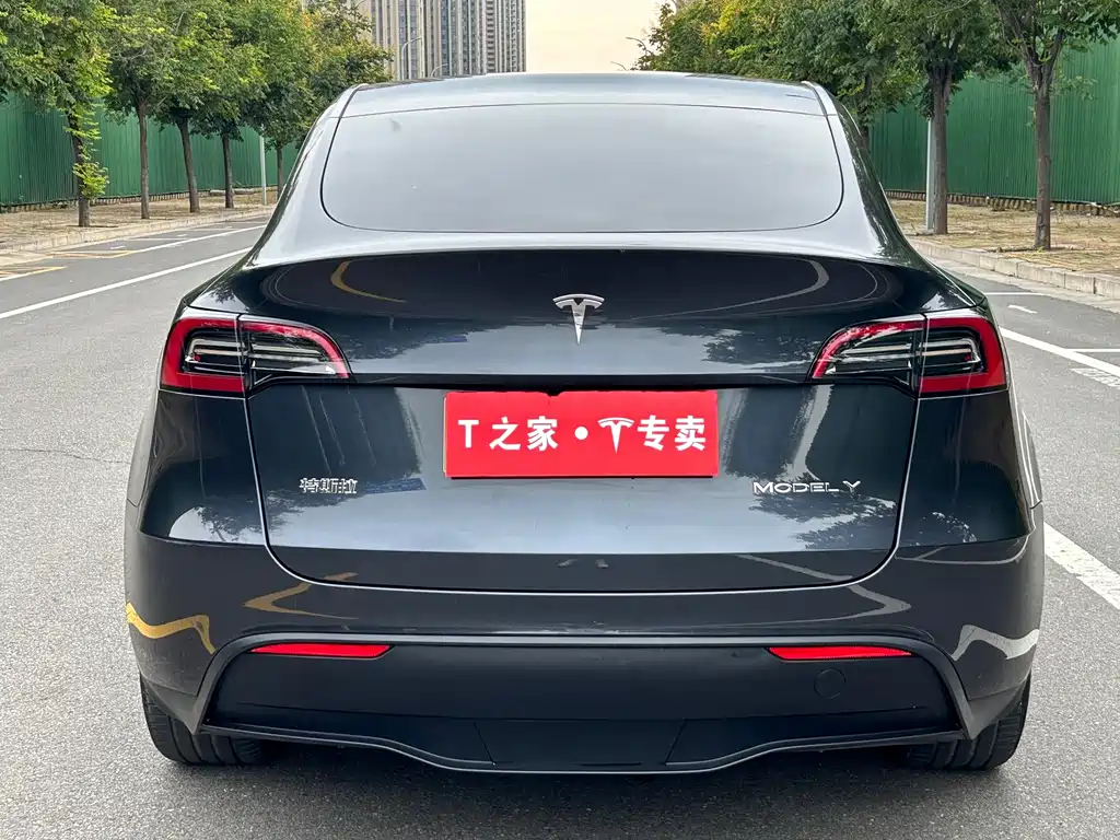 Tesla Model Y — миниатюра 8