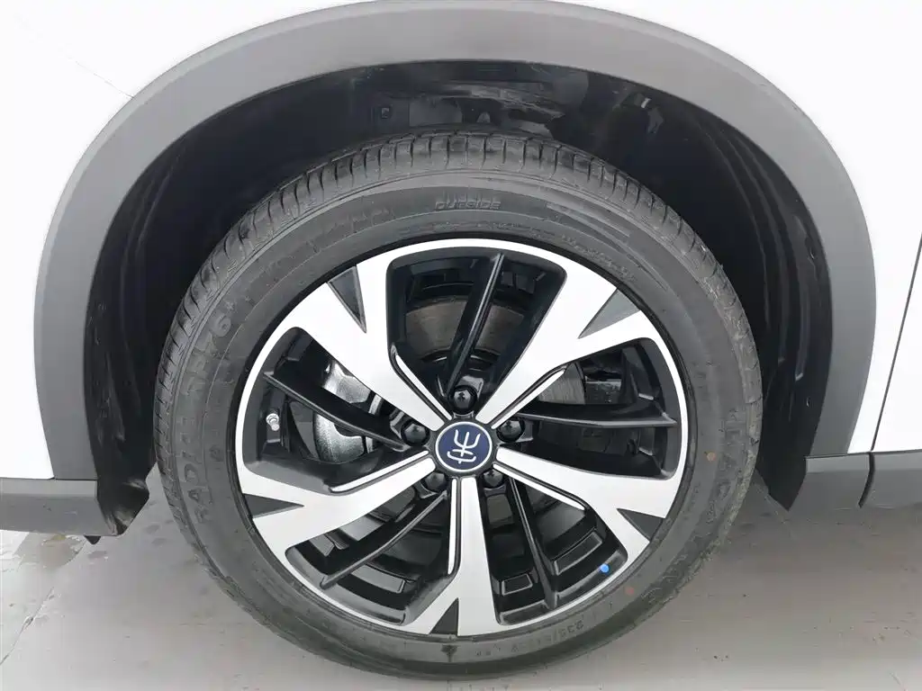 BYD SONGJIANG NEW ENERGY