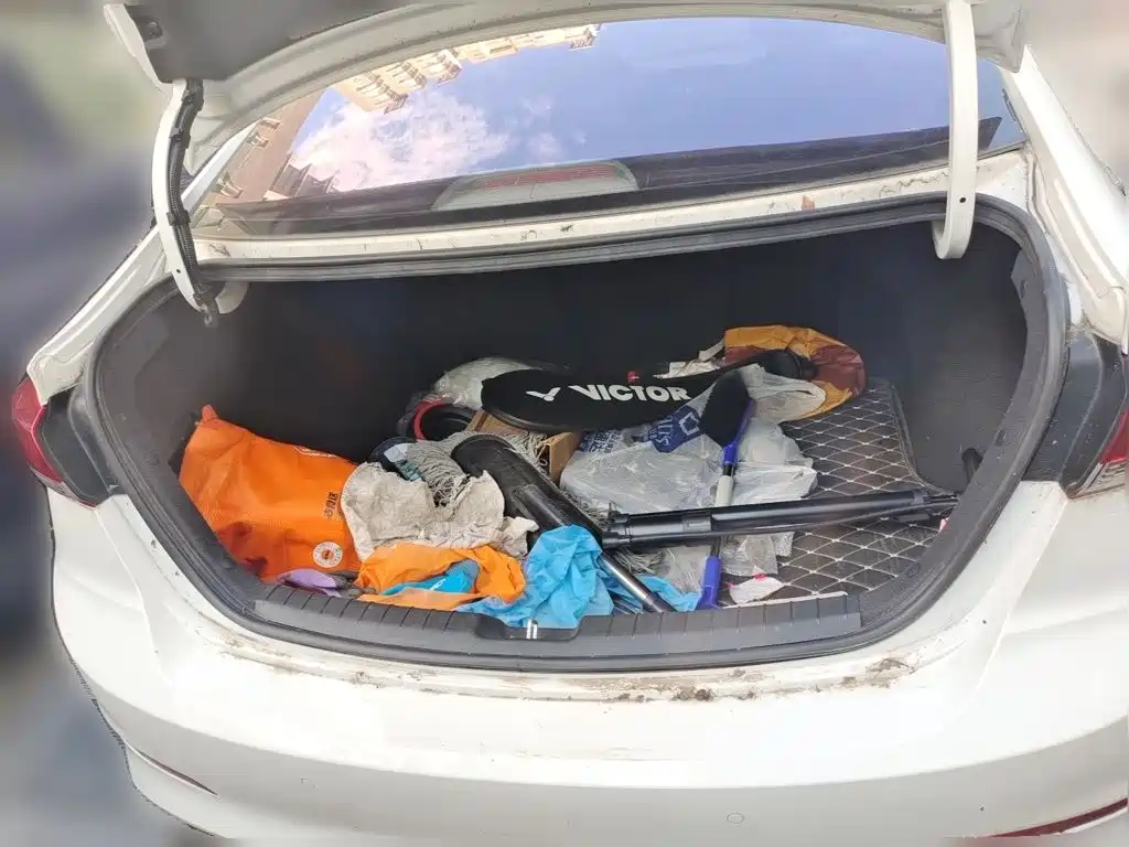Hyundai Elantra — миниатюра 10