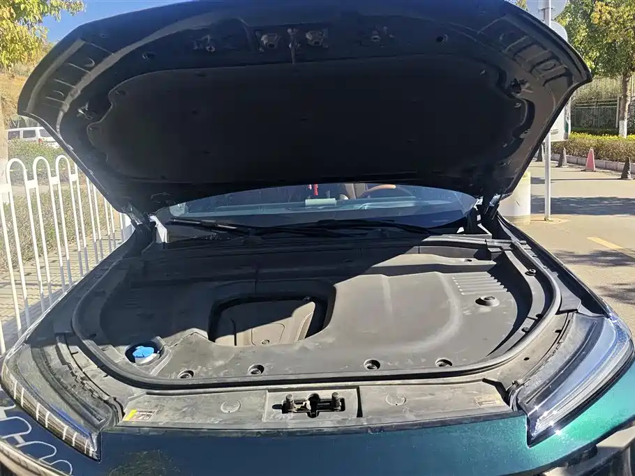 WEI PAI WEI BRAND BLUE MOUNTAIN