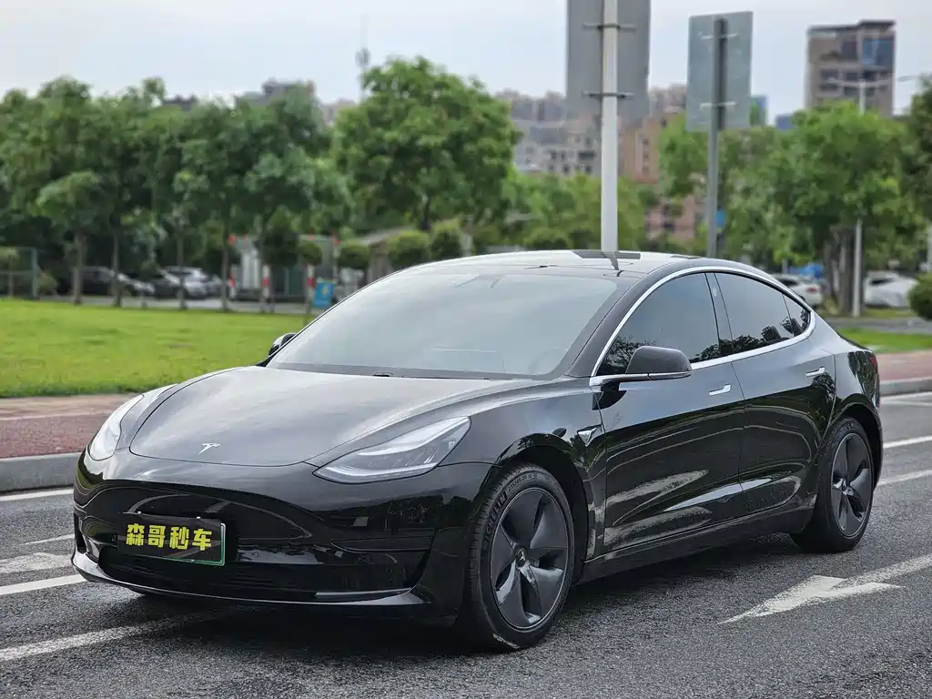 Tesla Model 3 2020