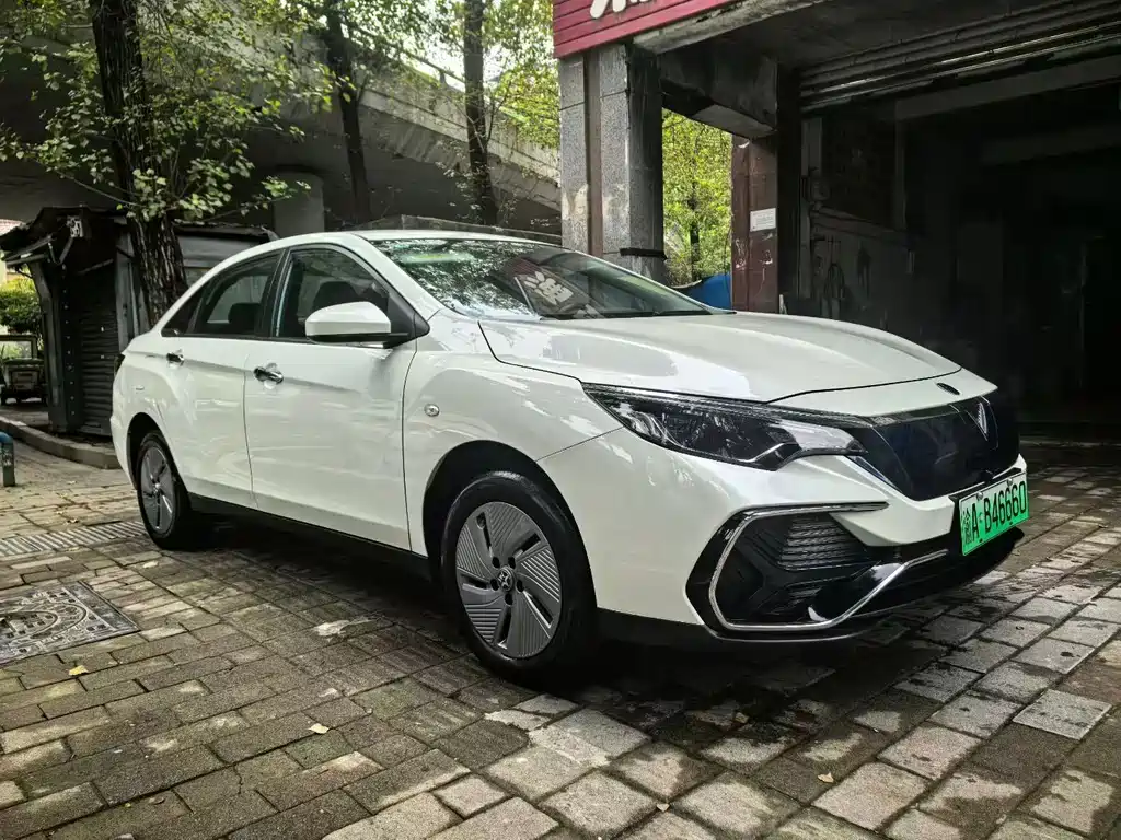 Venucia D60EV 2023 PLUS Comfort SI