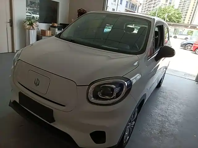 2021 Leapmotor T03