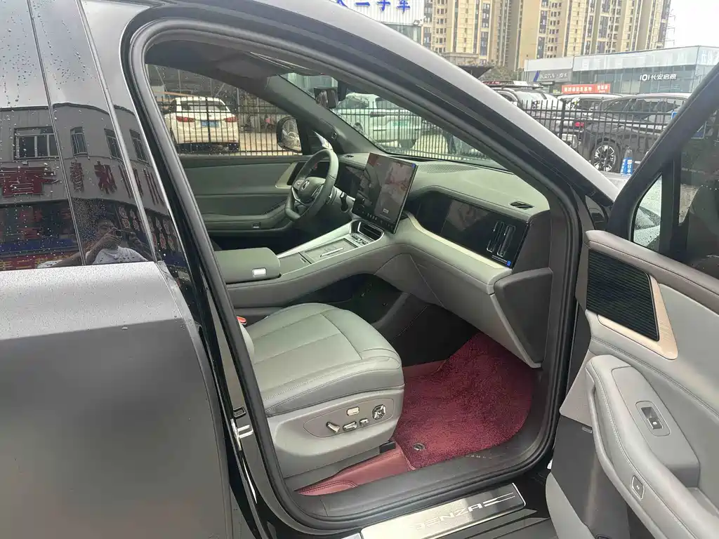 Denza Denza N8L — миниатюра 5