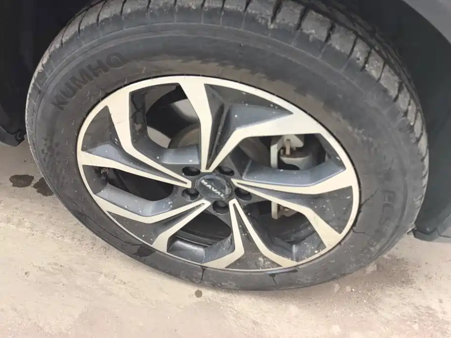 Haval Xiaolong MAX — миниатюра 6