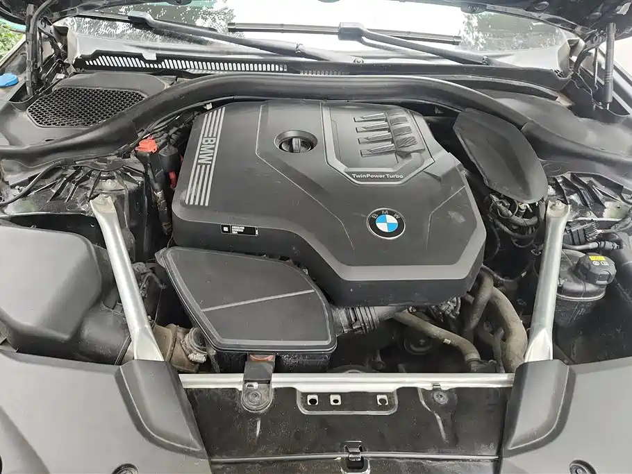 BMW 5 Series 5 2022 530Li Premium M Sport
