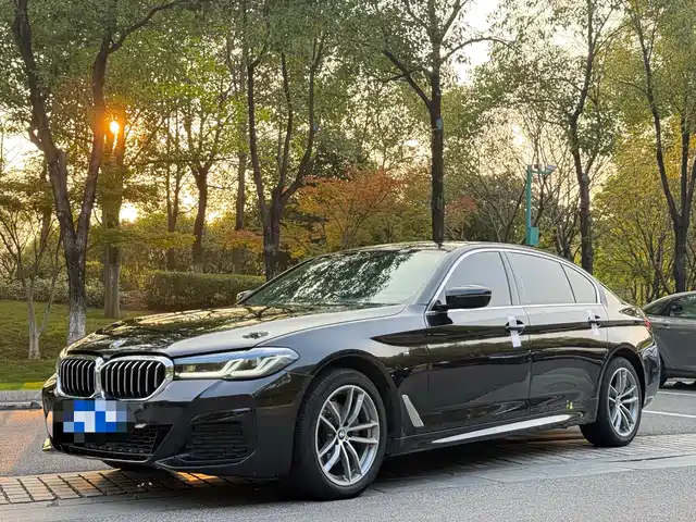 BMW 5 SERIES