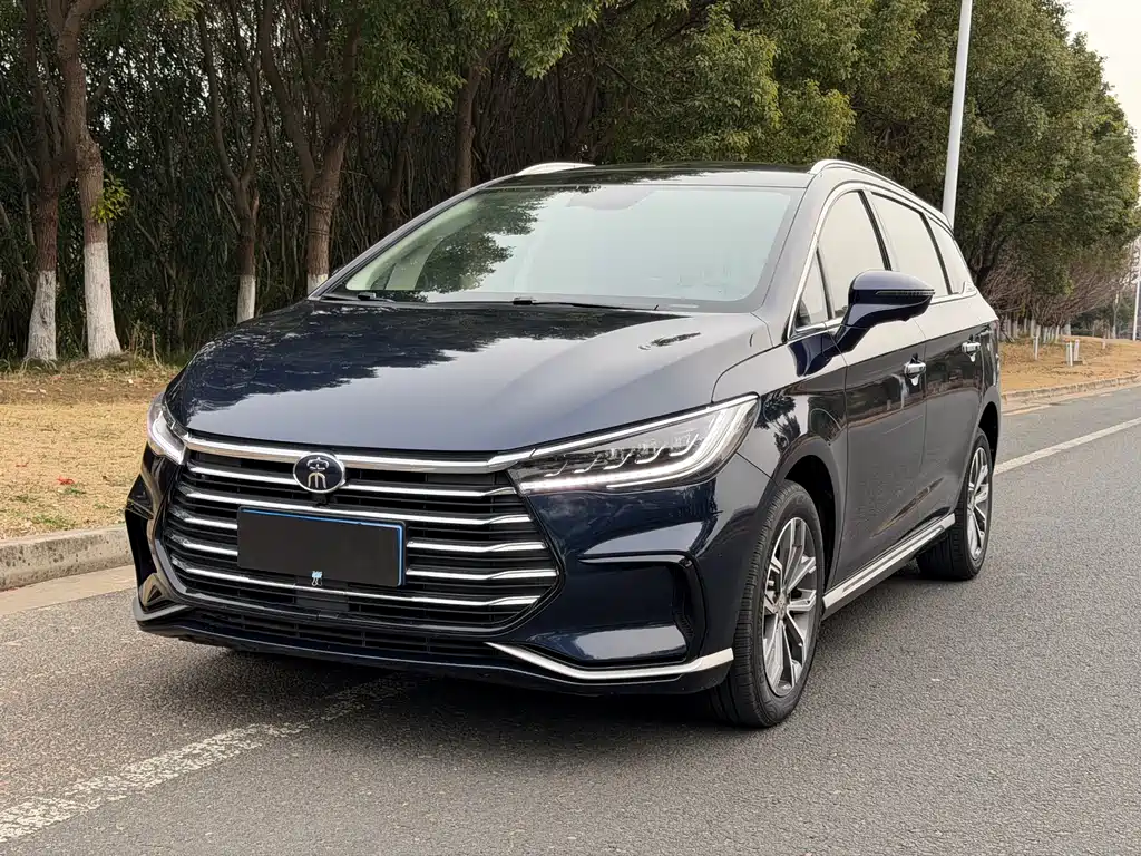 Byd MAX 2021