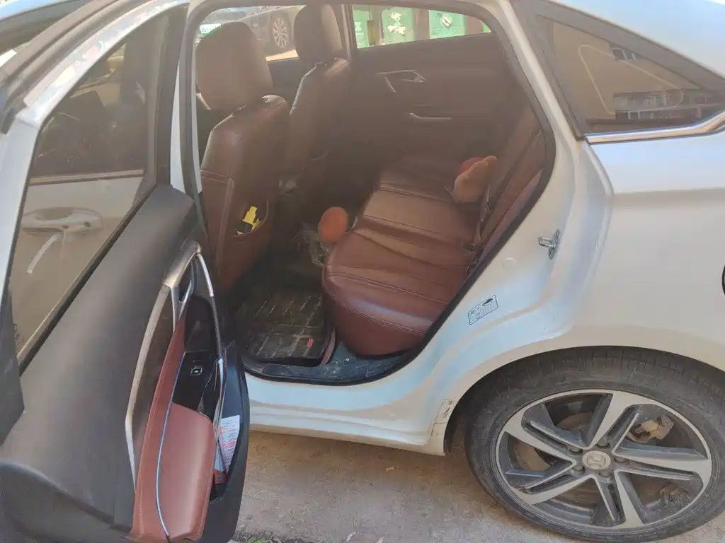 BAIC Senova D50 — миниатюра 13