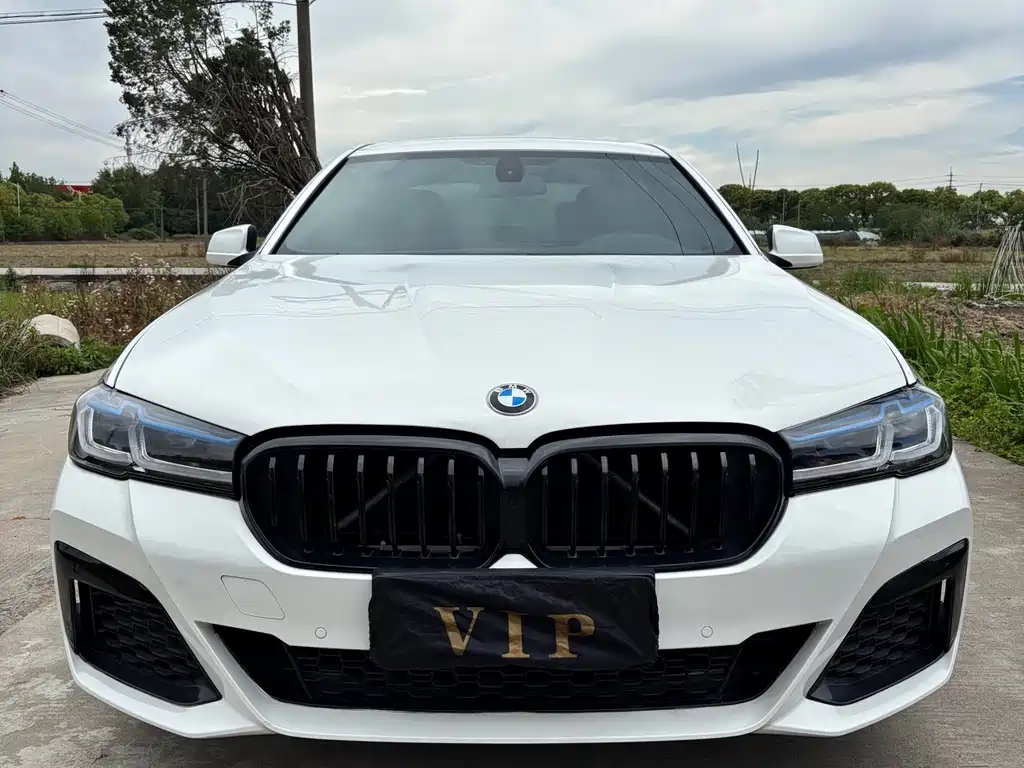 BMW 5 Series — миниатюра 2