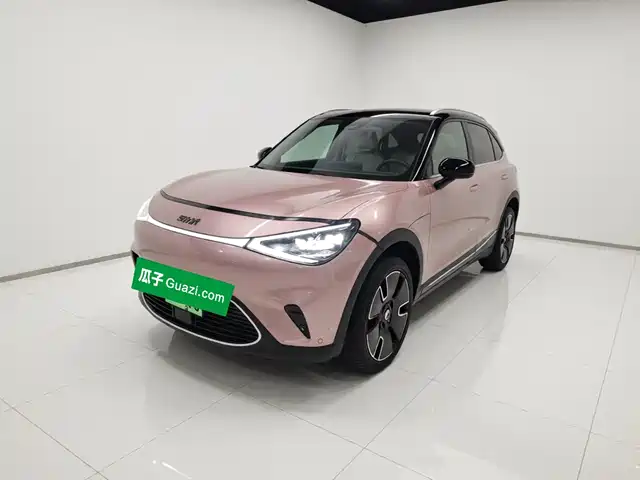 2024 Smart 1