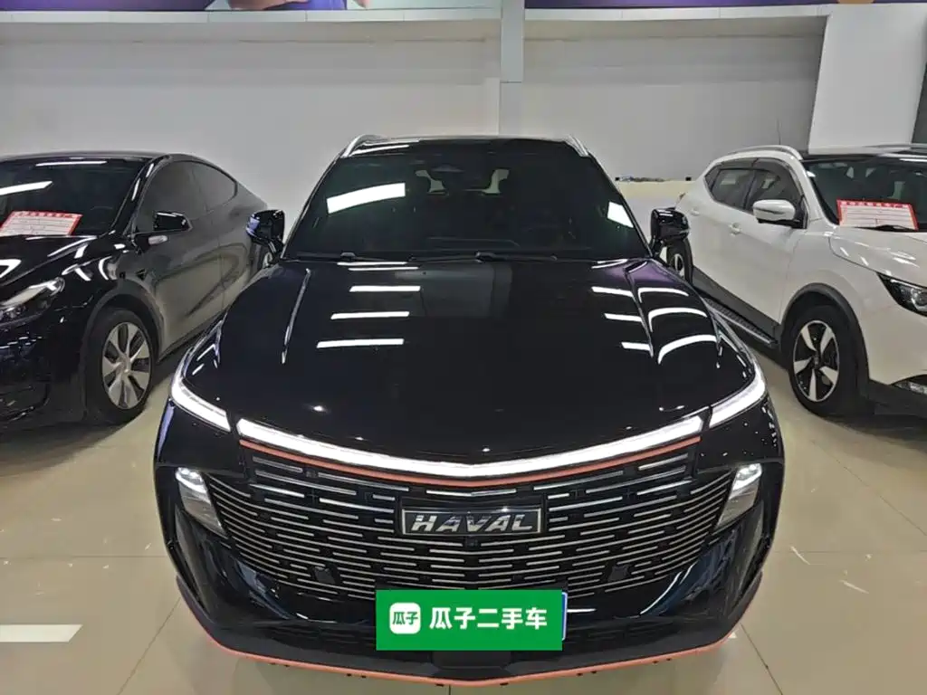 Haval Shenshou — миниатюра 3