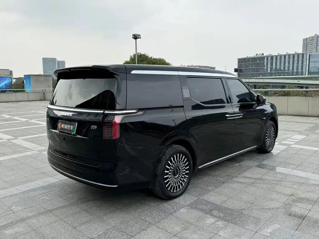 Zeekr 009 2024 мест 108kWh