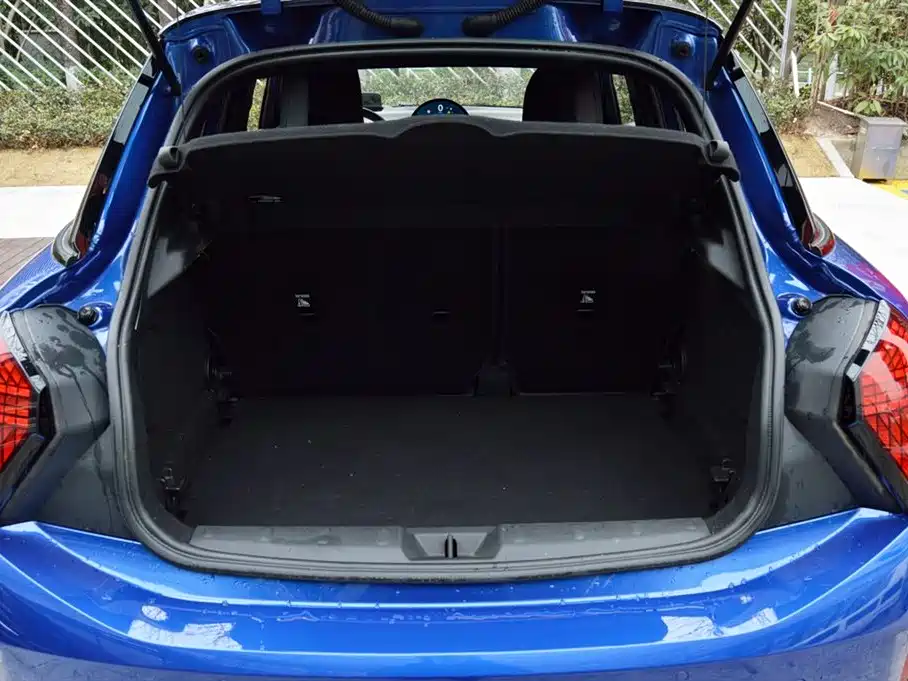 Mini Mini 2025 2.0T COOPER S