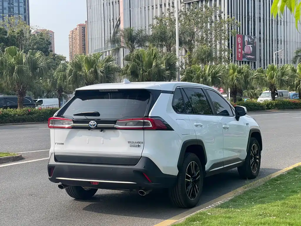 Toyota Wildlander New Energy — миниатюра 15