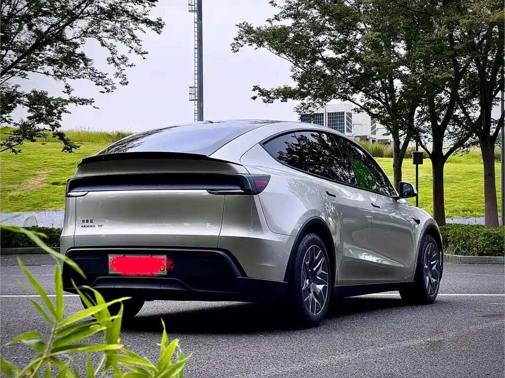 Tesla Model Y L — фотографии объявления, Фото 5